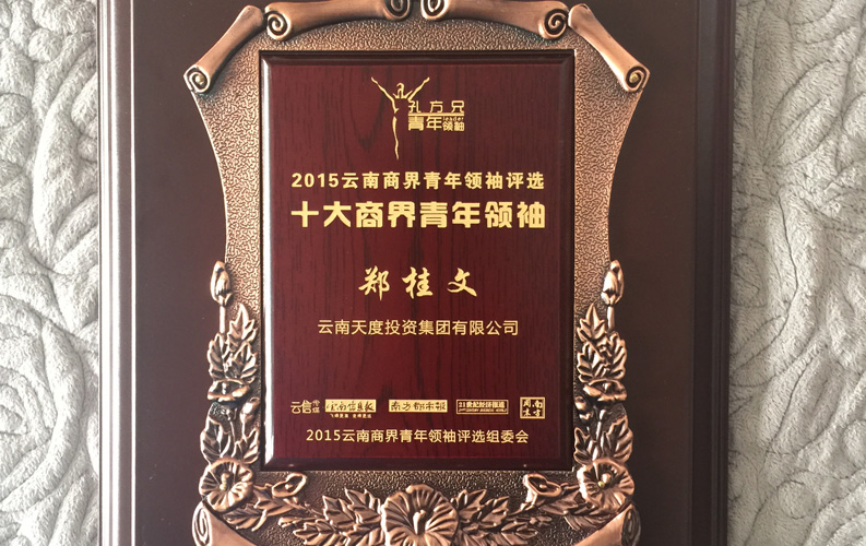 在“互聯網大時代”的背景下，天度作為本土很大和很有名的互聯網服務企業(yè)，為近萬家傳統(tǒng)企業(yè)轉型互聯網+提供了服務和幫助，獲此獎項后，我們將再接再厲，創(chuàng)造更高的社會價值